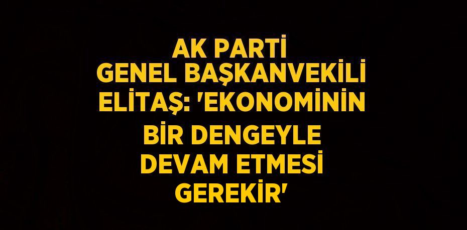 AK PARTİ GENEL BAŞKANVEKİLİ ELİTAŞ: 'EKONOMİNİN BİR DENGEYLE DEVAM ETMESİ GEREKİR'