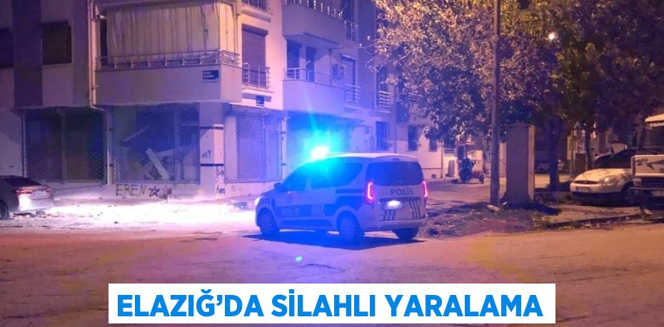 ELAZIĞ’DA SİLAHLI YARALAMA