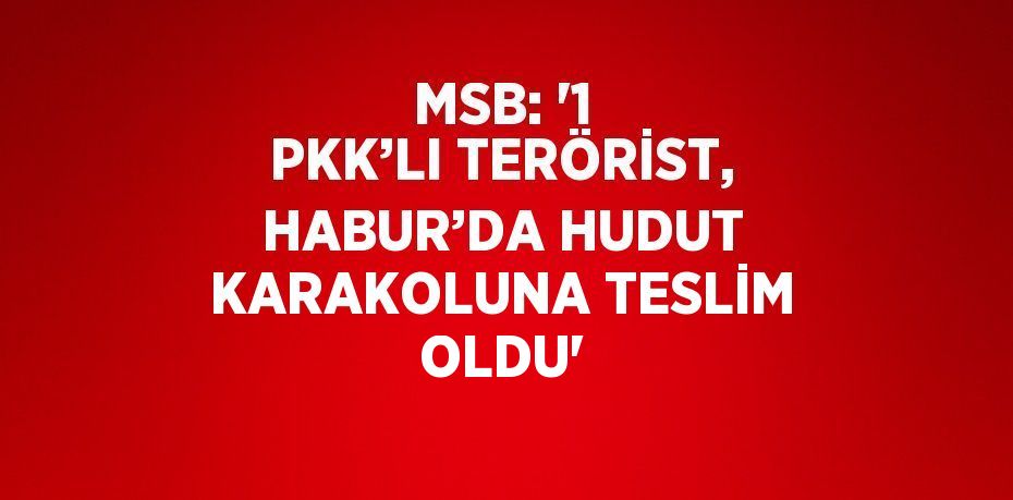 MSB: '1 PKK’LI TERÖRİST, HABUR’DA HUDUT KARAKOLUNA TESLİM OLDU'