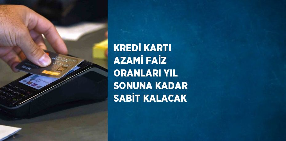 KREDİ KARTI AZAMİ FAİZ ORANLARI YIL SONUNA KADAR SABİT KALACAK