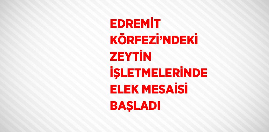 EDREMİT KÖRFEZİ’NDEKİ ZEYTİN İŞLETMELERİNDE ELEK MESAİSİ BAŞLADI