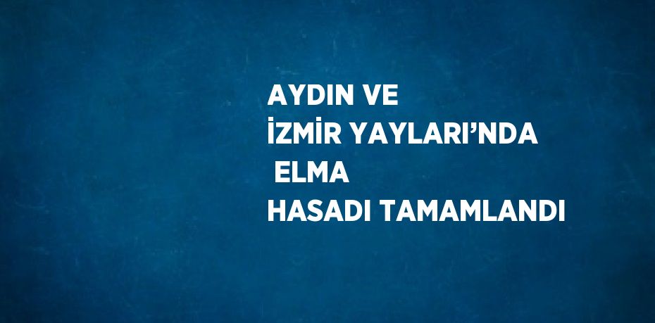 AYDIN VE İZMİR YAYLARI’NDA  ELMA HASADI TAMAMLANDI