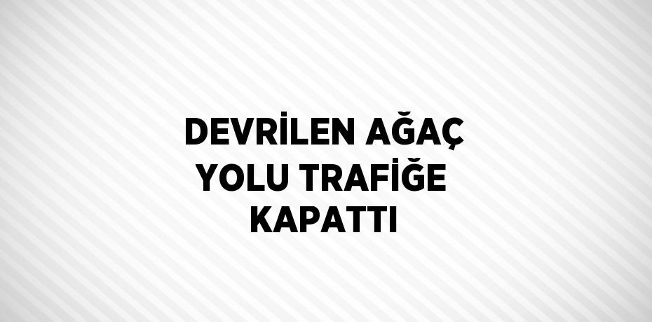 DEVRİLEN AĞAÇ YOLU TRAFİĞE KAPATTI