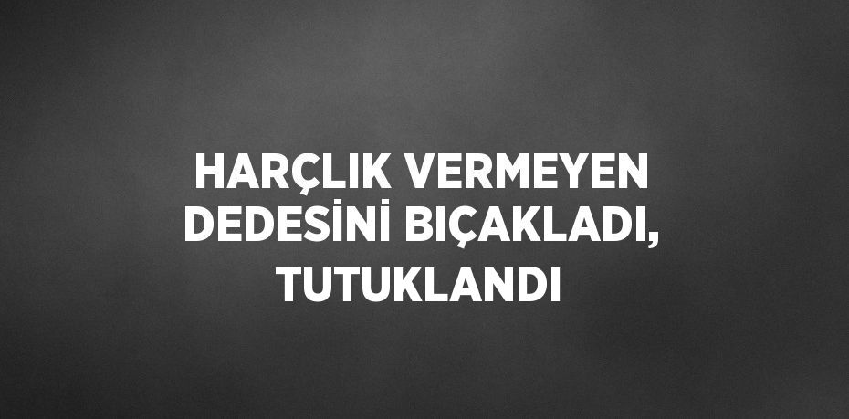 HARÇLIK VERMEYEN DEDESİNİ BIÇAKLADI, TUTUKLANDI