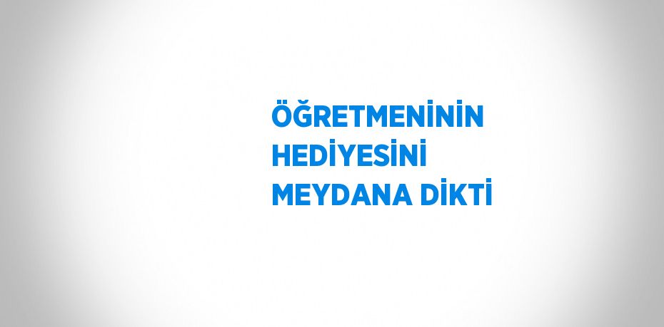 ÖĞRETMENİNİN HEDİYESİNİ MEYDANA DİKTİ