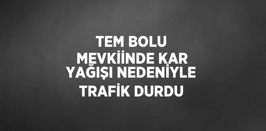 TEM BOLU MEVKİİNDE KAR YAĞIŞI NEDENİYLE TRAFİK DURDU