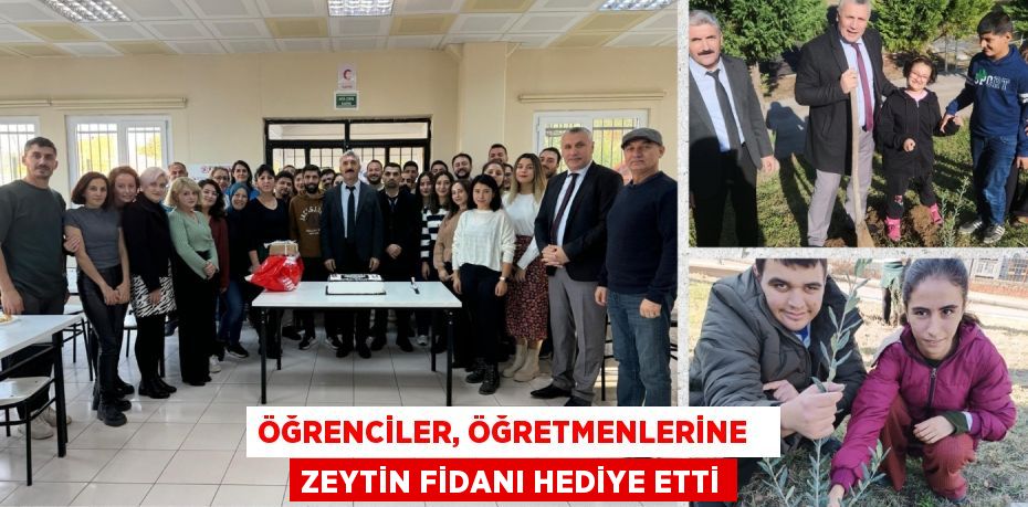 ÖĞRENCİLER, ÖĞRETMENLERİNE   ZEYTİN FİDANI HEDİYE ETTİ