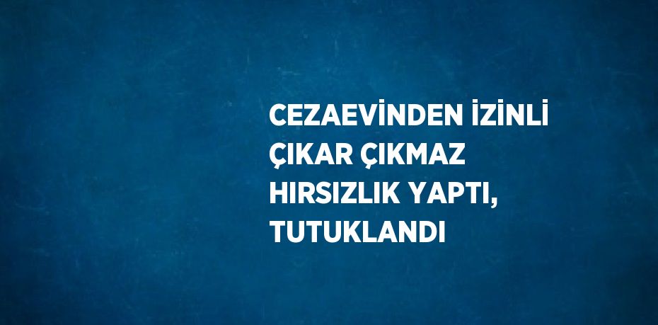 CEZAEVİNDEN İZİNLİ ÇIKAR ÇIKMAZ HIRSIZLIK YAPTI, TUTUKLANDI