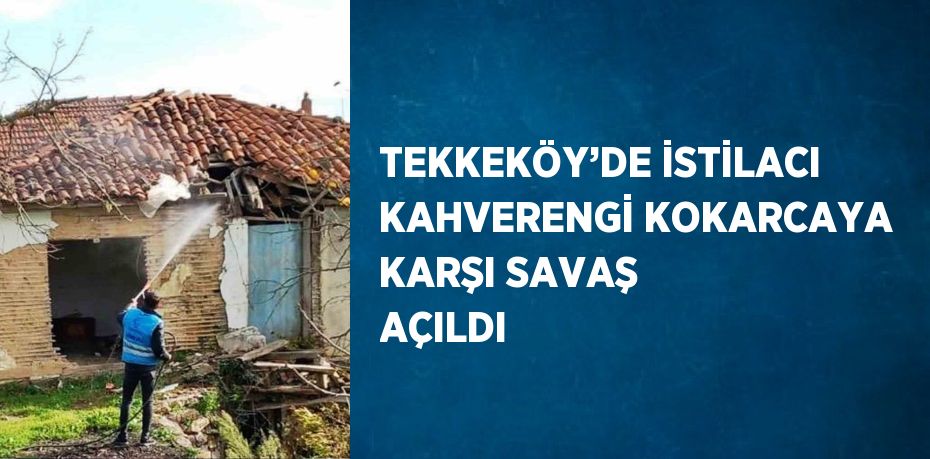 TEKKEKÖY’DE İSTİLACI KAHVERENGİ KOKARCAYA KARŞI SAVAŞ AÇILDI