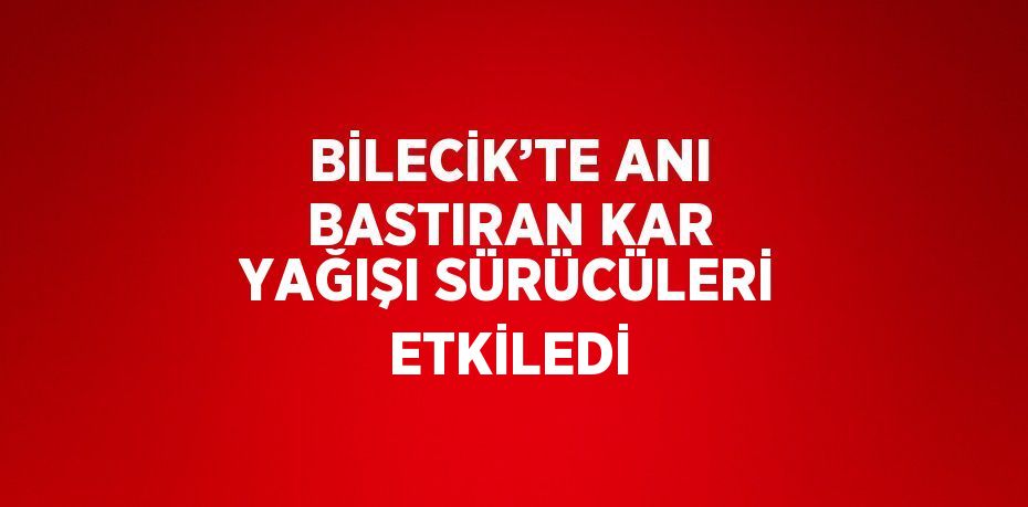 BİLECİK’TE ANI BASTIRAN KAR YAĞIŞI SÜRÜCÜLERİ ETKİLEDİ