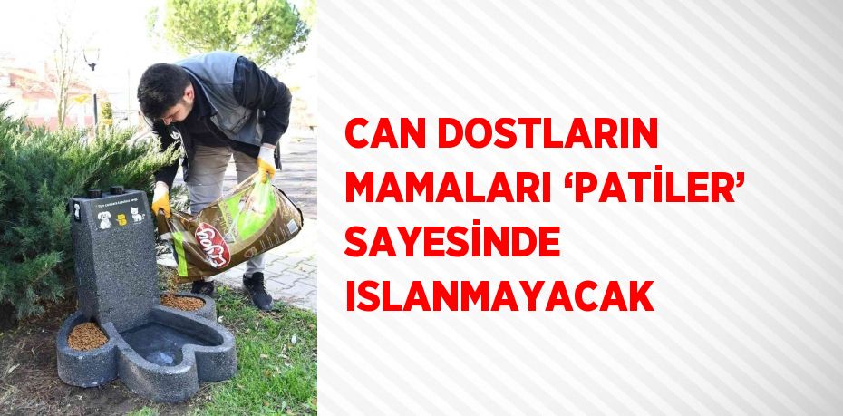 CAN DOSTLARIN MAMALARI ‘PATİLER’ SAYESİNDE ISLANMAYACAK