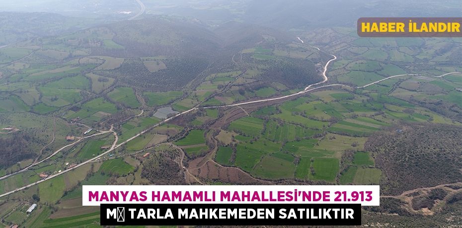 Manyas Hamamlı Mahallesi'nde 21.913 m² tarla mahkemeden satılıktır