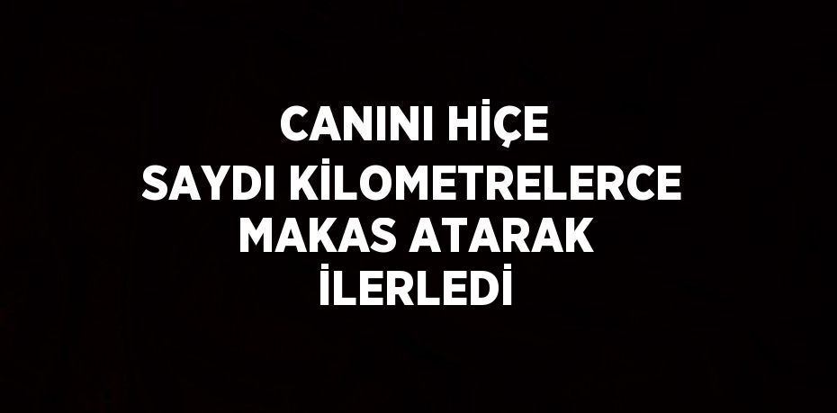 CANINI HİÇE SAYDI KİLOMETRELERCE MAKAS ATARAK İLERLEDİ