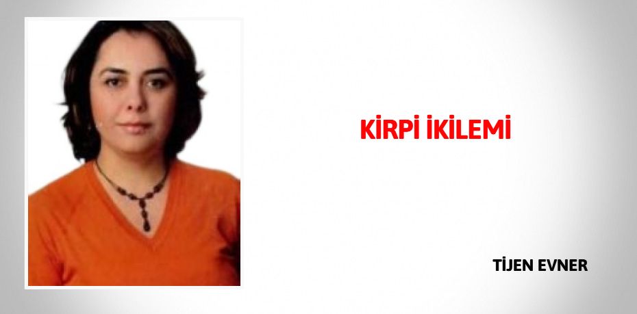 KİRPİ İKİLEMİ
