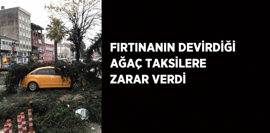 FIRTINANIN DEVİRDİĞİ AĞAÇ TAKSİLERE ZARAR VERDİ