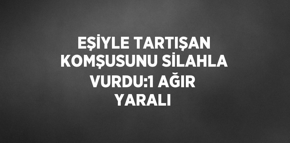 EŞİYLE TARTIŞAN KOMŞUSUNU SİLAHLA VURDU:1 AĞIR YARALI