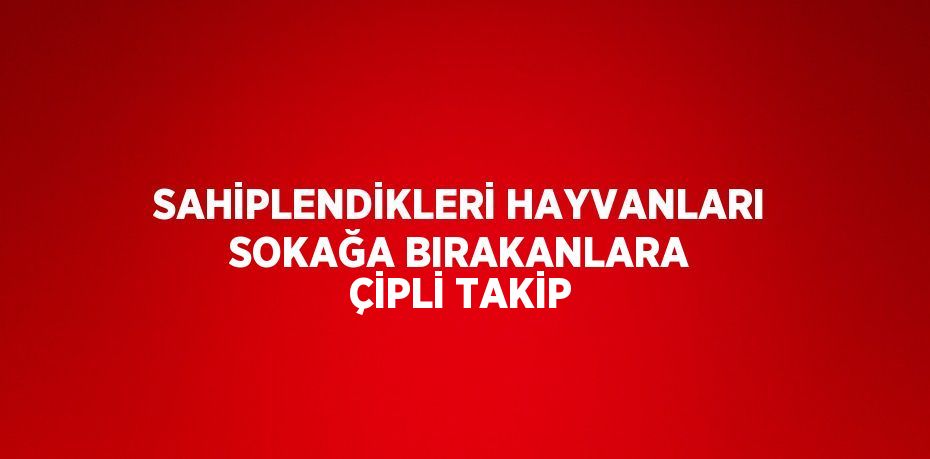 SAHİPLENDİKLERİ HAYVANLARI SOKAĞA BIRAKANLARA ÇİPLİ TAKİP