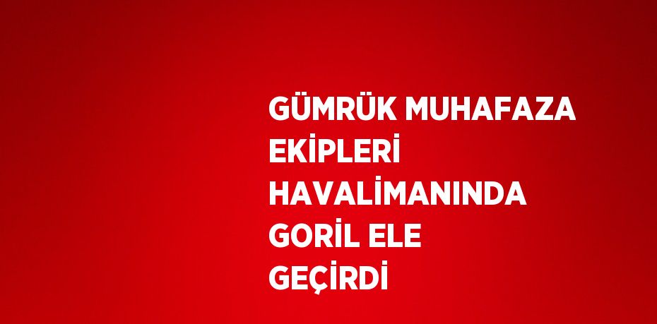 GÜMRÜK MUHAFAZA EKİPLERİ HAVALİMANINDA GORİL ELE GEÇİRDİ