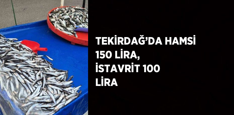 TEKİRDAĞ’DA HAMSİ 150 LİRA, İSTAVRİT 100 LİRA