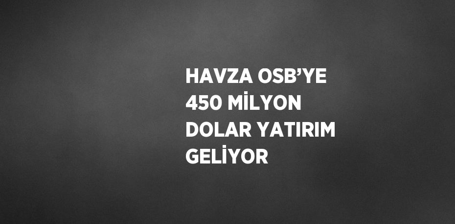 HAVZA OSB’YE 450 MİLYON DOLAR YATIRIM GELİYOR