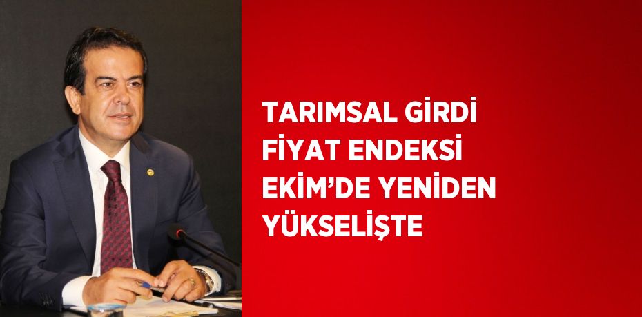 TARIMSAL GİRDİ FİYAT ENDEKSİ EKİM’DE YENİDEN YÜKSELİŞTE