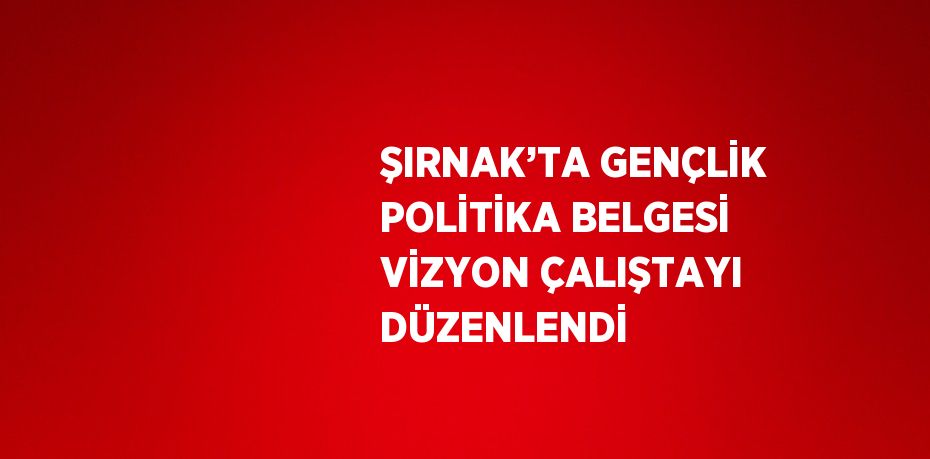 ŞIRNAK’TA GENÇLİK POLİTİKA BELGESİ VİZYON ÇALIŞTAYI DÜZENLENDİ