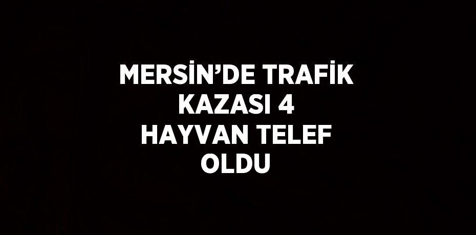 MERSİN’DE TRAFİK KAZASI 4 HAYVAN TELEF OLDU