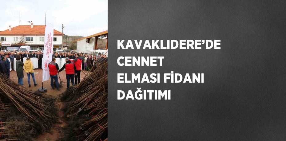 KAVAKLIDERE’DE CENNET ELMASI FİDANI DAĞITIMI