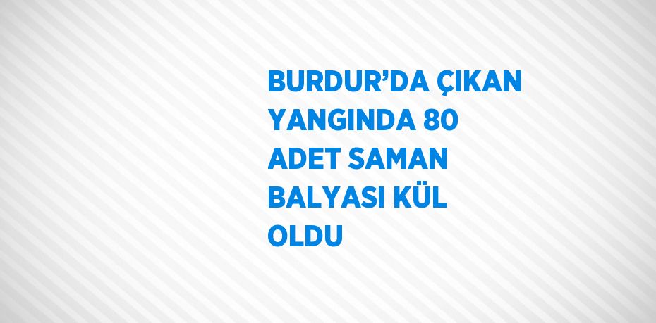 BURDUR’DA ÇIKAN YANGINDA 80 ADET SAMAN BALYASI KÜL OLDU