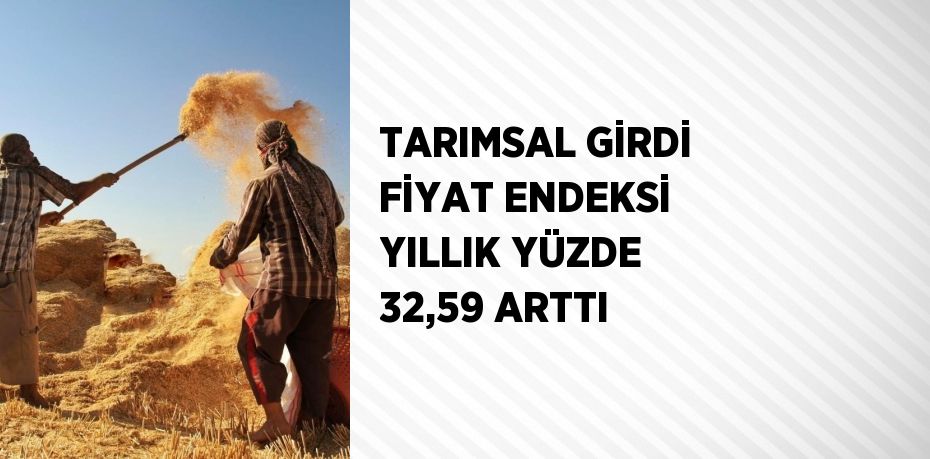 TARIMSAL GİRDİ FİYAT ENDEKSİ YILLIK YÜZDE 32,59 ARTTI