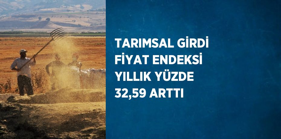 TARIMSAL GİRDİ FİYAT ENDEKSİ YILLIK YÜZDE 32,59 ARTTI