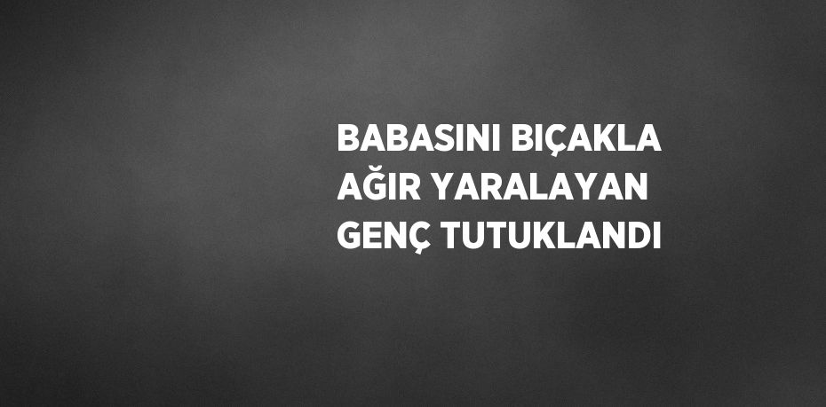 BABASINI BIÇAKLA AĞIR YARALAYAN GENÇ TUTUKLANDI