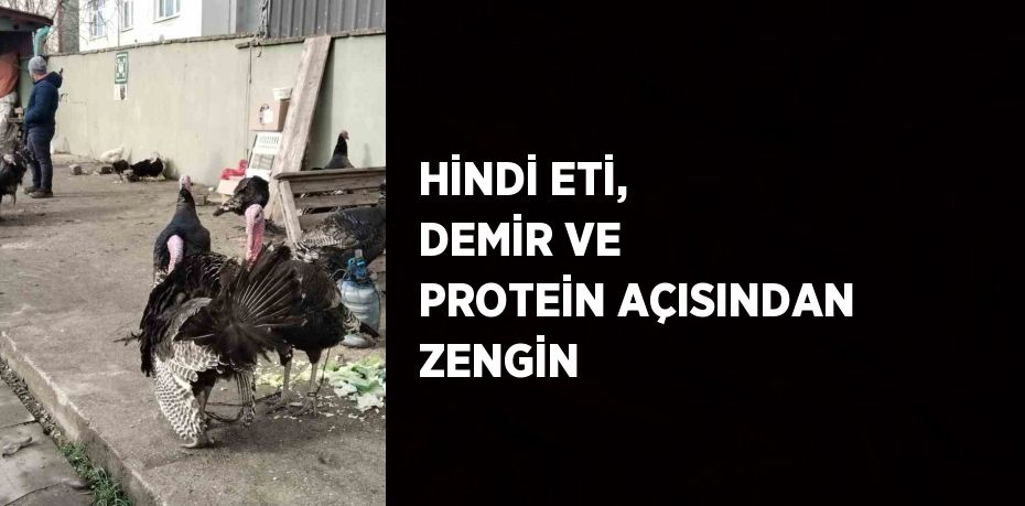 HİNDİ ETİ, DEMİR VE PROTEİN AÇISINDAN ZENGİN