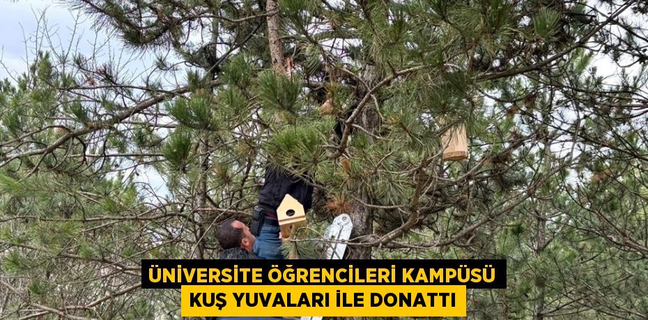 ÜNİVERSİTE ÖĞRENCİLERİ KAMPÜSÜ KUŞ YUVALARI İLE DONATTI