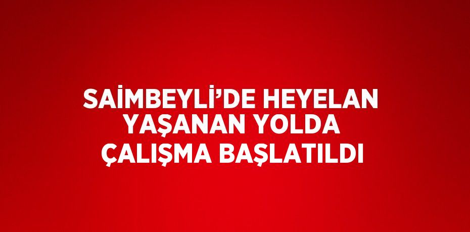 SAİMBEYLİ’DE HEYELAN YAŞANAN YOLDA ÇALIŞMA BAŞLATILDI