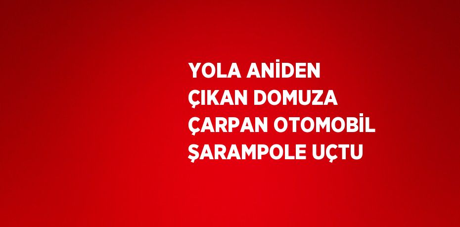 YOLA ANİDEN ÇIKAN DOMUZA ÇARPAN OTOMOBİL ŞARAMPOLE UÇTU