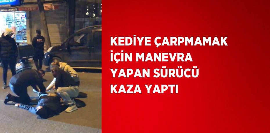 KEDİYE ÇARPMAMAK İÇİN MANEVRA YAPAN SÜRÜCÜ KAZA YAPTI