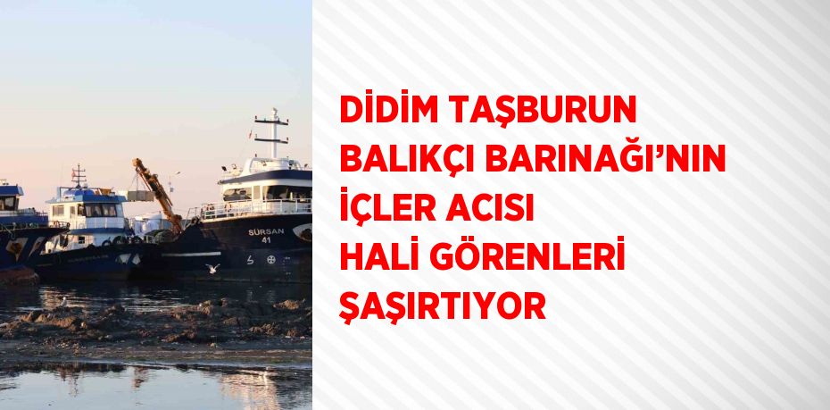 DİDİM TAŞBURUN BALIKÇI BARINAĞI’NIN İÇLER ACISI HALİ GÖRENLERİ ŞAŞIRTIYOR