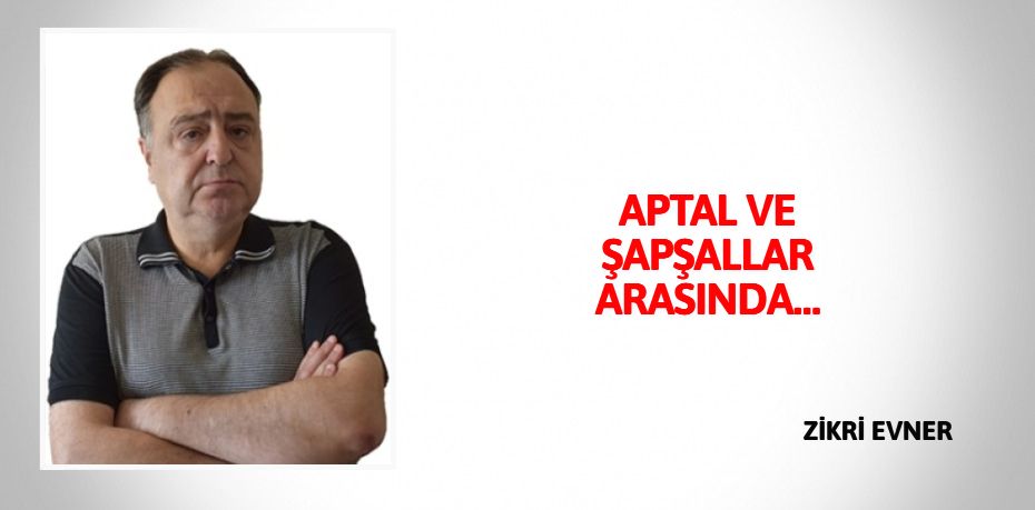 APTAL VE ŞAPŞALLAR ARASINDA…