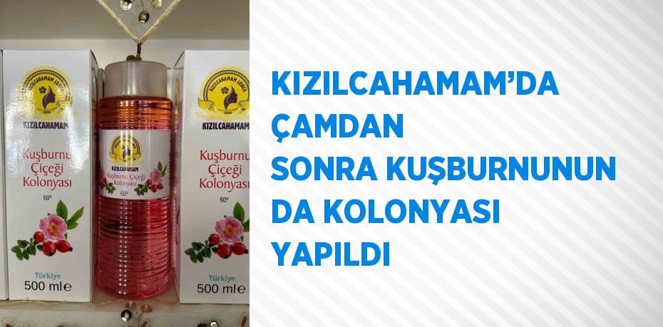 KIZILCAHAMAM’DA ÇAMDAN SONRA KUŞBURNUNUN DA KOLONYASI YAPILDI