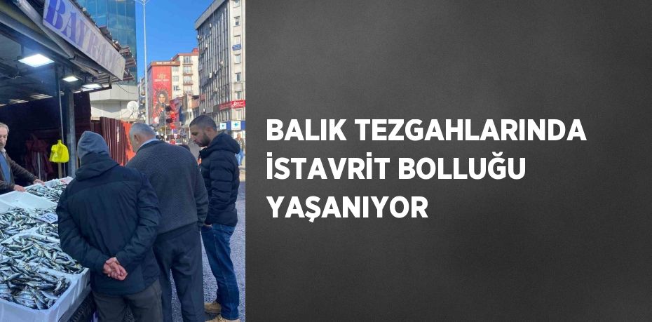 BALIK TEZGAHLARINDA İSTAVRİT BOLLUĞU YAŞANIYOR