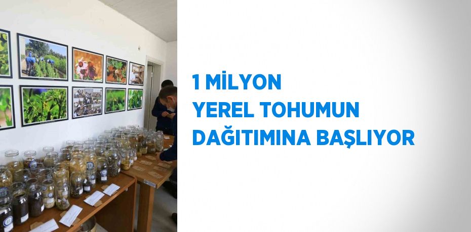 1 MİLYON YEREL TOHUMUN DAĞITIMINA BAŞLIYOR