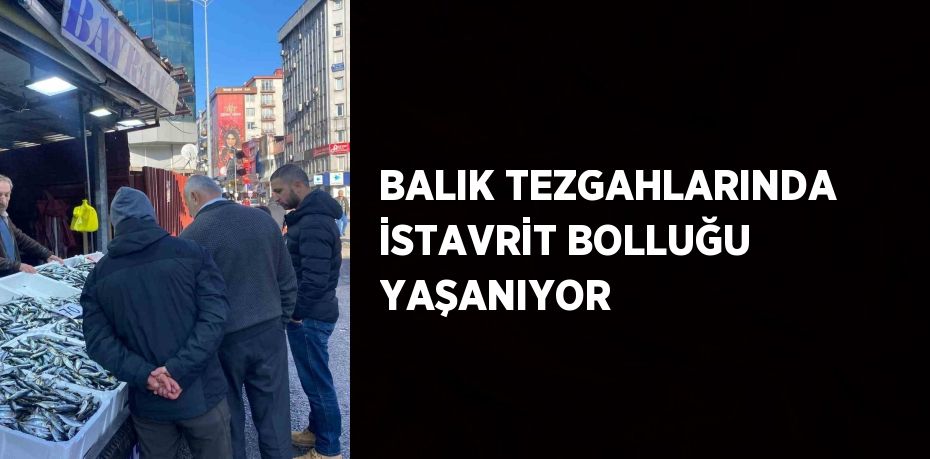 BALIK TEZGAHLARINDA İSTAVRİT BOLLUĞU YAŞANIYOR