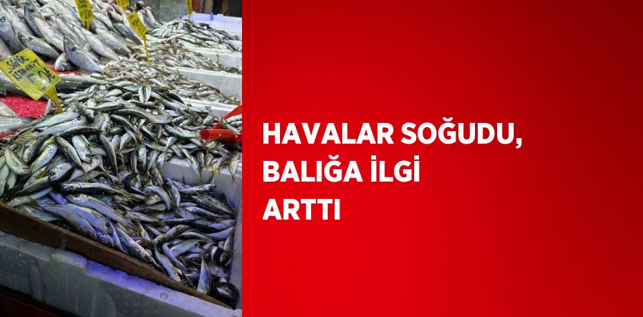 HAVALAR SOĞUDU, BALIĞA İLGİ ARTTI