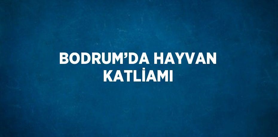 BODRUM’DA HAYVAN KATLİAMI