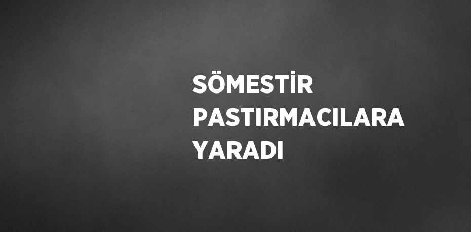 SÖMESTİR PASTIRMACILARA YARADI