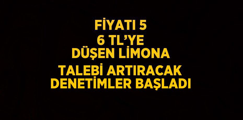 FİYATI 5 6 TL’YE DÜŞEN LİMONA TALEBİ ARTIRACAK DENETİMLER BAŞLADI