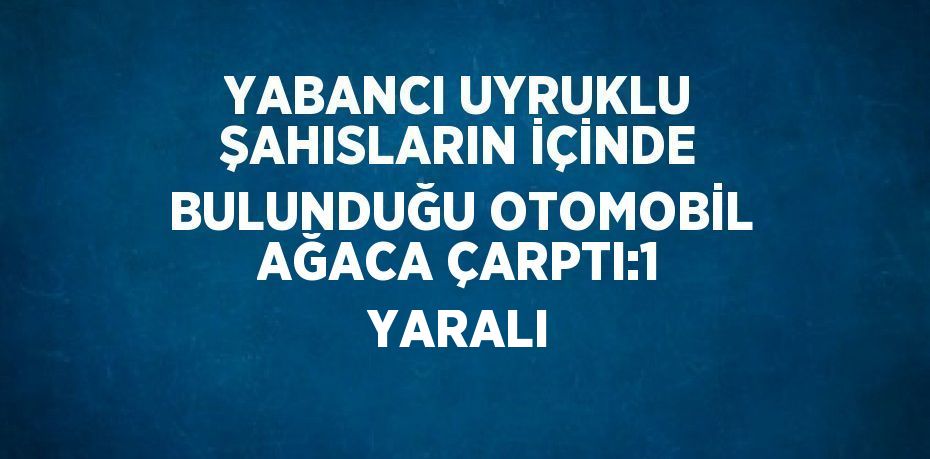 YABANCI UYRUKLU ŞAHISLARIN İÇİNDE BULUNDUĞU OTOMOBİL AĞACA ÇARPTI:1 YARALI