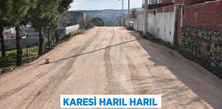 KARESİ HARIL HARIL