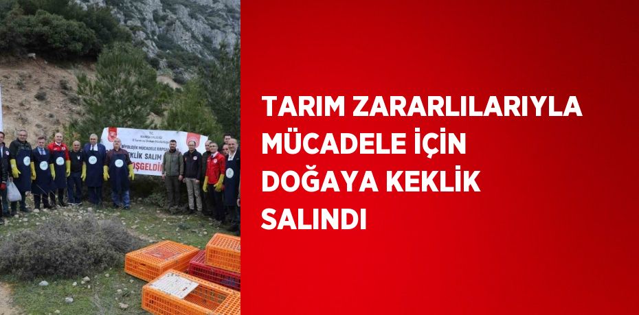 TARIM ZARARLILARIYLA MÜCADELE İÇİN DOĞAYA KEKLİK SALINDI